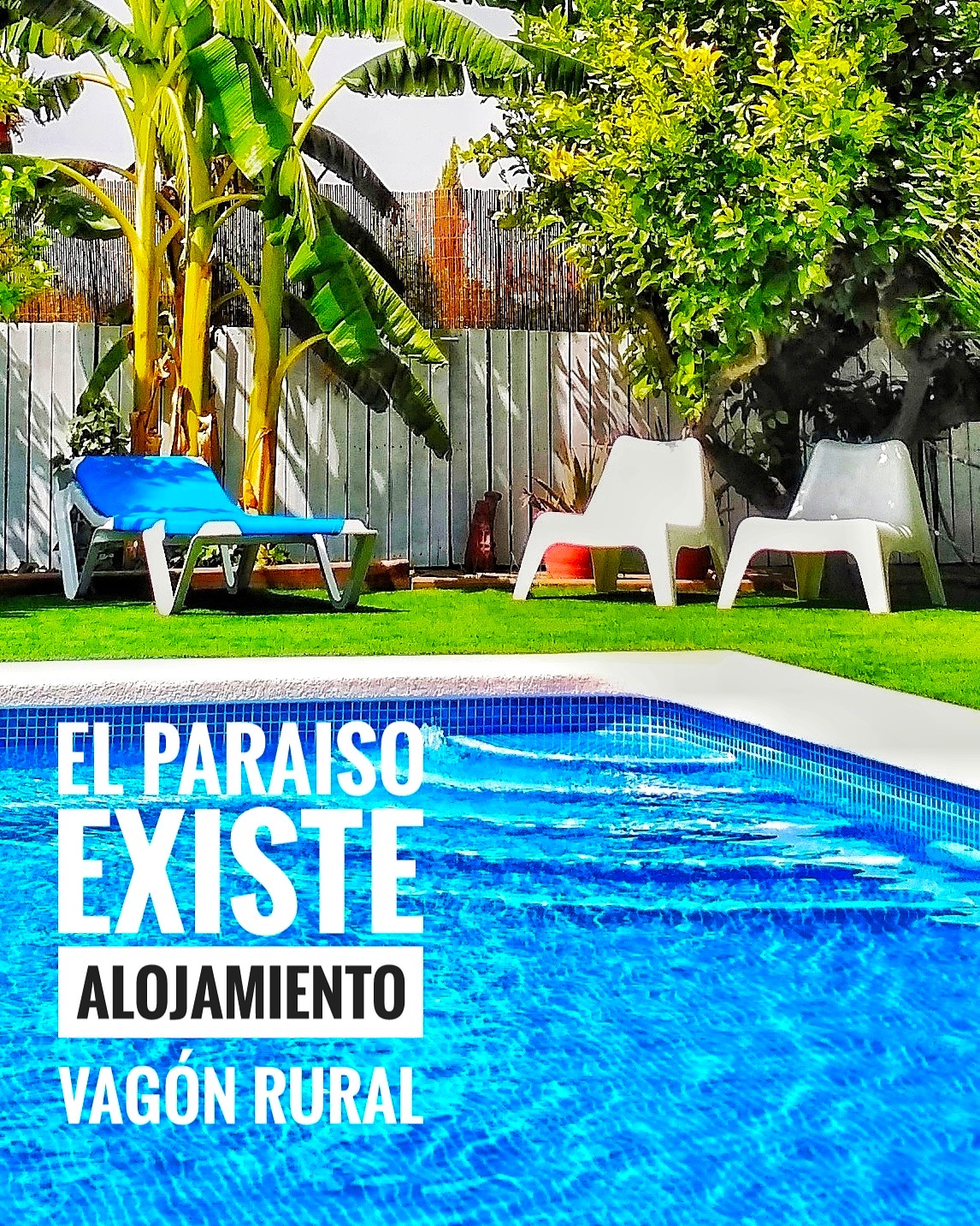 IMG_20200424_121111_810